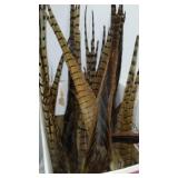Pheasant Tails (25)
