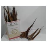 Pheasant Tails (25)