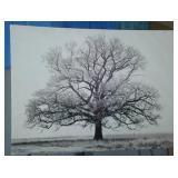 Stretched Canvas Art (4)