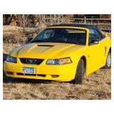 35th Anniversary 1999 Ford Mustang  Convertible