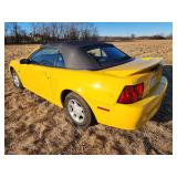 35th Anniversary 1999 Ford Mustang  Convertible