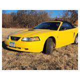 35th Anniversary 1999 Ford Mustang  Convertible