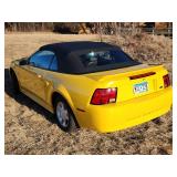 35th Anniversary 1999 Ford Mustang  Convertible