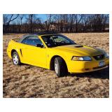 35th Anniversary 1999 Ford Mustang  Convertible