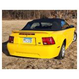 35th Anniversary 1999 Ford Mustang  Convertible