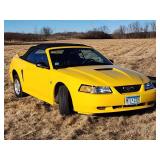 35th Anniversary 1999 Ford Mustang  Convertible