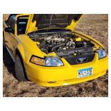 35th Anniversary 1999 Ford Mustang  Convertible