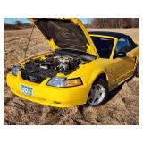 35th Anniversary 1999 Ford Mustang  Convertible