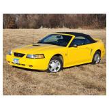 35th Anniversary 1999 Ford Mustang  Convertible