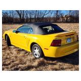 35th Anniversary 1999 Ford Mustang  Convertible