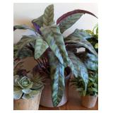 Decorative Faux Plants and Pair of Small Planters