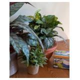 Decorative Faux Plants and Pair of Small Planters