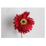 Vintage Ne-Time Cola Bottle with Artificial Red Gerbera Flower