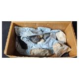 Collection of Fossilized Rocks and Shells ?