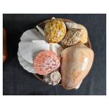 Mixed Collectibles Lot: Radios, Shells, Clock, Dog Figurine & More