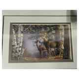 Set of 4 Framed Wildlife Art Prints