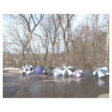 Large lot of Umbrellas