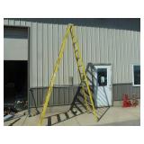 Werner Fiberglass Step Ladder 12