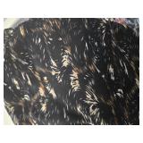 Lot of 2 Coco + Carmen Leggings (New, Size: XXL)