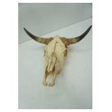 Longhorn Skull - good condition