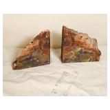 Petrified Wood Polished Bookends