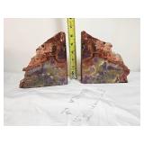 Petrified Wood Polished Bookends