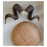 Real Rams Head Horn Mount