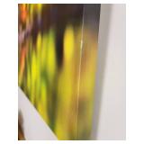 Autumn Reflections Canvas Print ~ 24 x 18