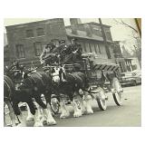 Framed Photo of the Budweiser Clydesdale Horses in St. Paul MN.