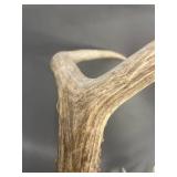 Natural Deer Antlers Rustic Decorative Pair