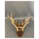 2 Sets Mounted Deer Antlers Collection