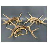 3 Deer Rattling Antler Sets