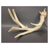 Natural Deer Rattling Antlers Set for Rustic Decor Crafts