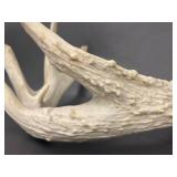 Natural Deer Rattling Antlers Set for Rustic Decor Crafts
