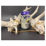 Natural Deer Rattling Antlers Set for Rustic Decor Crafts