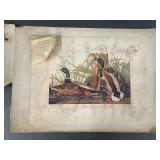 Vintage Artwork Prints and Greeting Cards Collection - Whistler, Mettel & Others