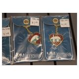 *6* Camping Themed Keychains and 4 Master Lock Magnetic Key Storage