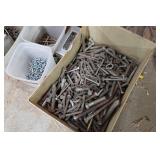 Assorted Screws and Fasteners