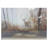 Gerald Coulson Quiet Forest Print