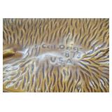 Vintage Pottery Ashtray 15"x5"