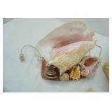 Seashell Lot with Seashell light