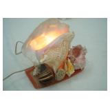 Seashell Lot with Seashell light
