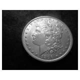 1896 Morgan Silver Dollar