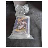 Sports Card Collection -- NFL/NBA/WWE Cards, NFL Blitz 2000 Kits (5), Vikings Party Pooch & FB