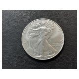 2024 Silver Eagle