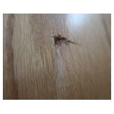SOLID OAK DOORS PLUS