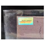 Certified Richard petty autographed picture