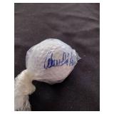 4 unknown uncertified signed golf balls