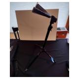 Lyon electric guitar by Washburn case and stand included