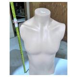 Mannequin Male Torso